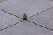 Afstandhouder/Voegkruis 5mm 75st.