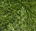 Gras Coventry 400cm