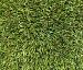 Gras Leeds 400cm