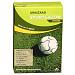 Vitesse Sportgazon 250gr. 12m2