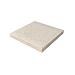 Tegel Oud Hollands Crème 50x50x5cm