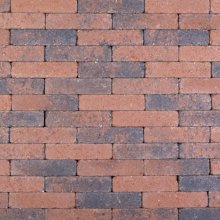 Trommelsteen Aardmonnik 20x5x7cm