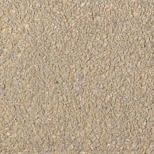 BSS GeoColor Exc. bisschopsmuts Geel 8cm