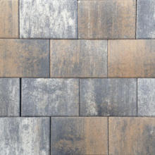 Tremico Texels Bont 20x30x6cm