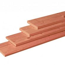 Douglas Plank 1,6x14x300cm blank