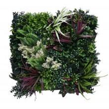 Green Wall Tropic A 50x50cm