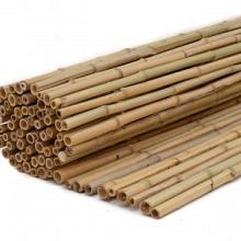 Bamboerolscherm Blank gelakt dsn. 2cm 180x180cm