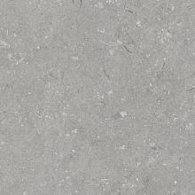 Shellstone Grigio 60x60x3cm