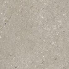 Shellstone Taupe 60x60x3cm