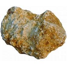 Zwerfkei Yellow Sun 50-150cm