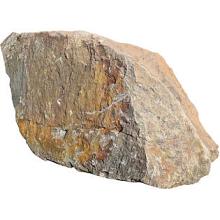 Zwerfkei Violetto 40-80cm