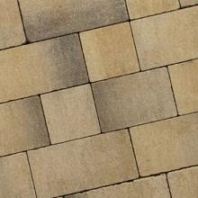 Recto Antique Sierra Madre klein wildverband 6cm