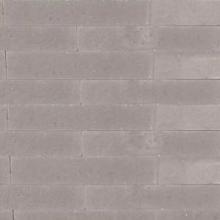 Patioblok Taupe strak 12x10x60cm