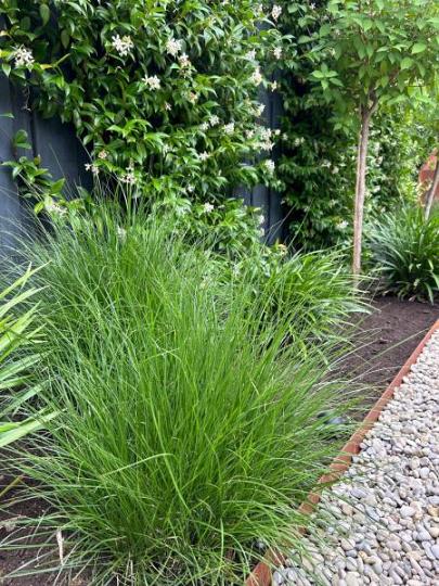 Kantopsluiting Double Corten 300x10cm